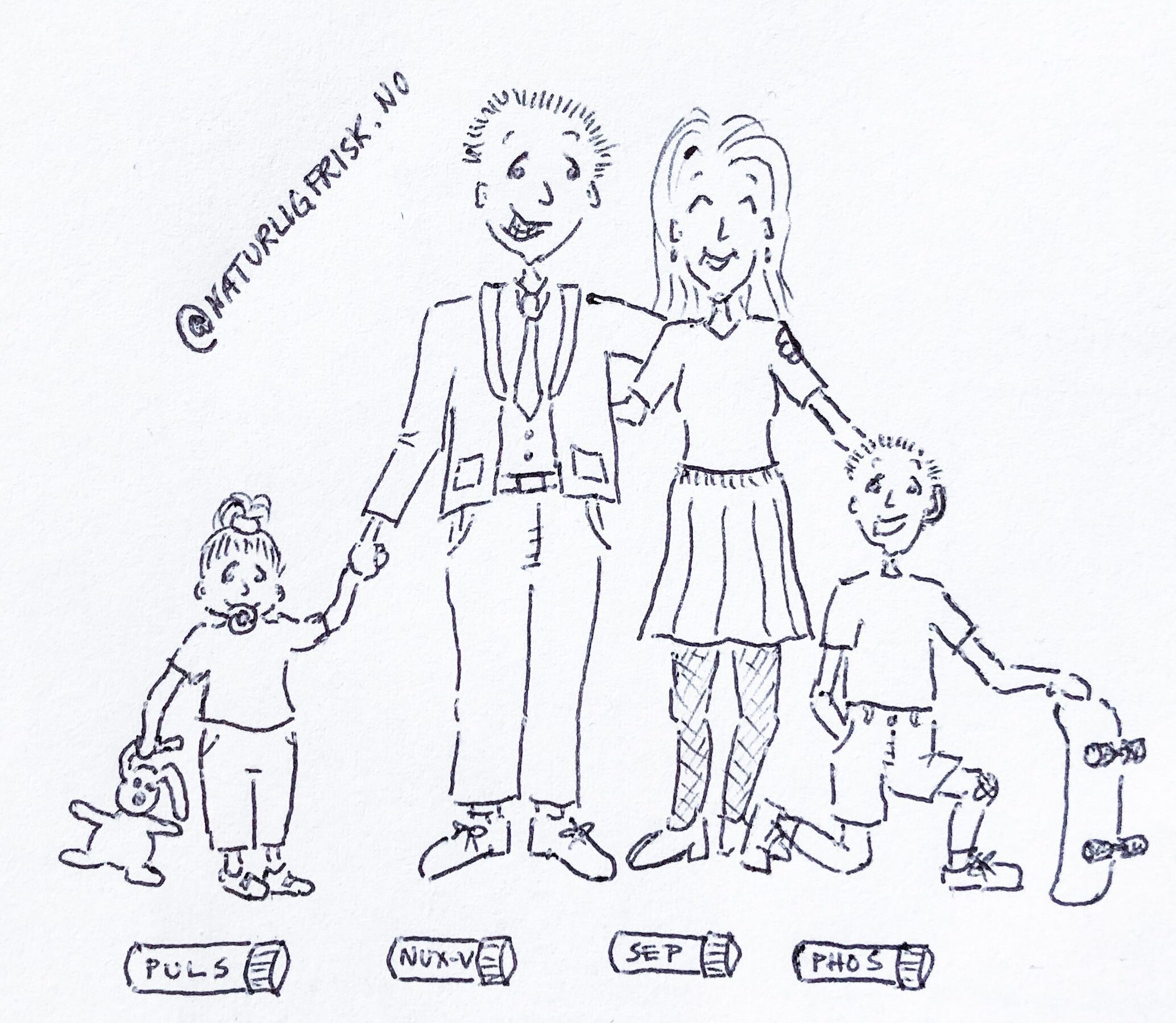 Illustration of a family of four, each with an assigned homeopathic remedy