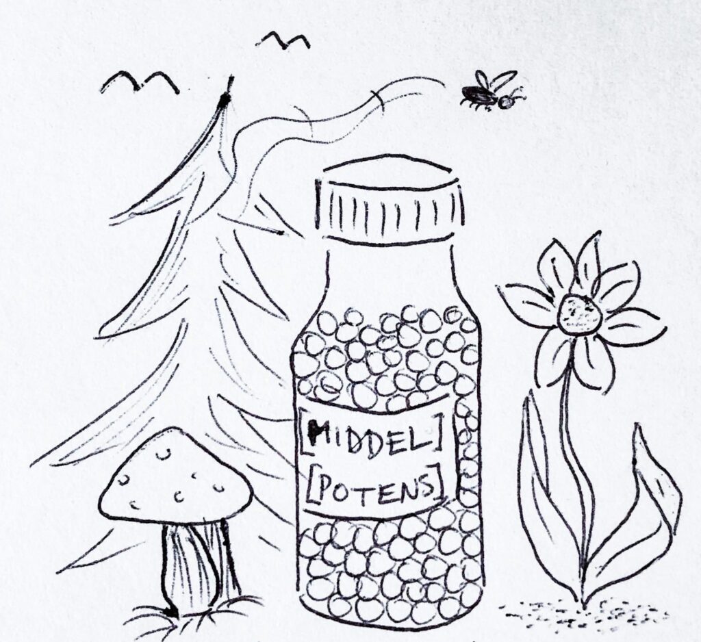 Illustration showing a remedy vial and some species from nature