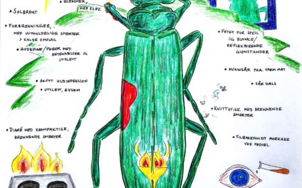 Illustration of the homoeopathic remedy Cantharis vesicatoria, with key characteristics